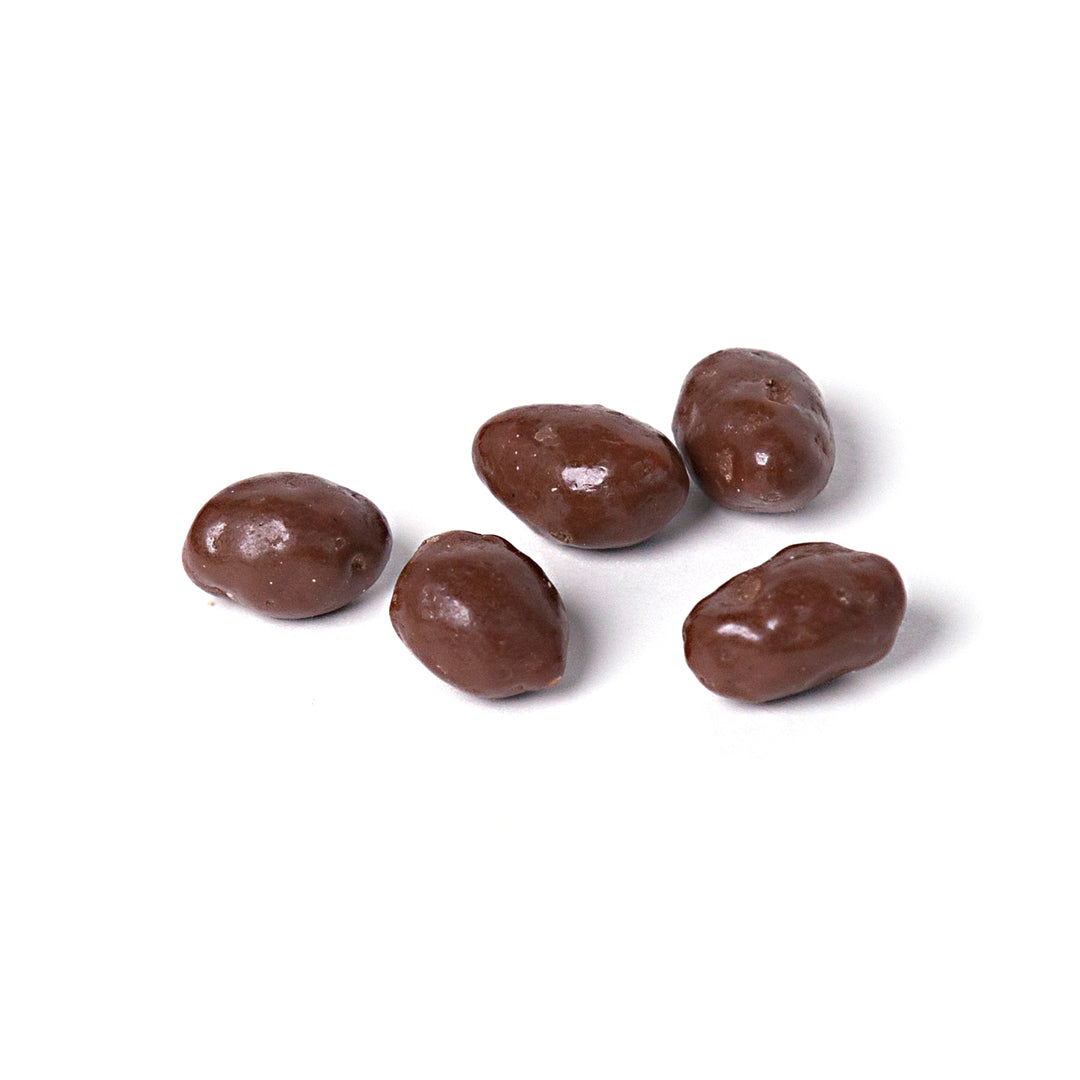 Chocolate Covered Original Peanuts-2oz